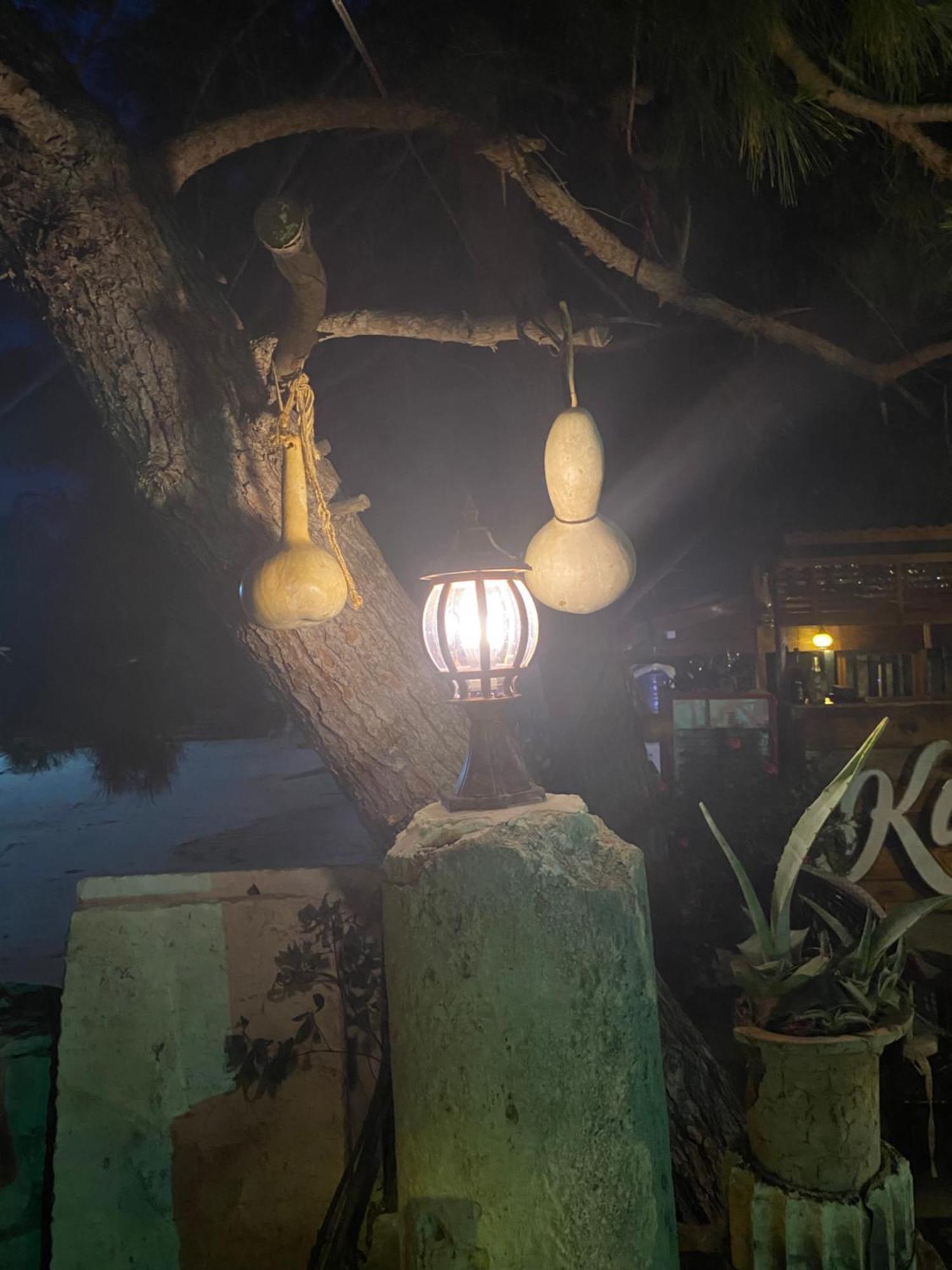 Medusa House Butik Hotel Didim Exterior photo