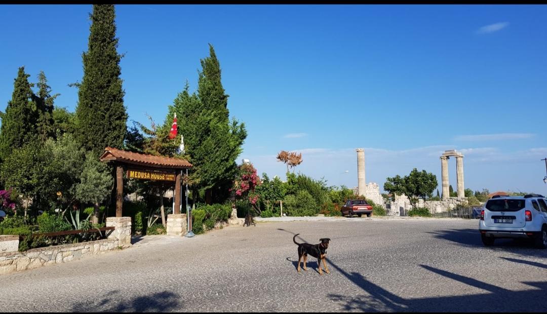 Medusa House Butik Hotel Didim Exterior photo
